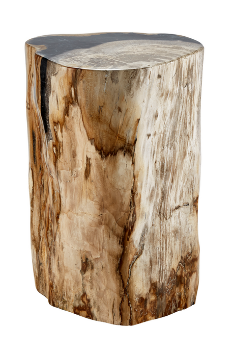 Hand-Polished Petrified Wood Side Table | Andrew Martin Log
