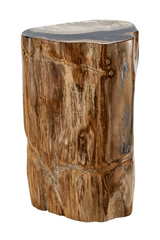 Hand-Polished Petrified Wood Side Table | Andrew Martin Log