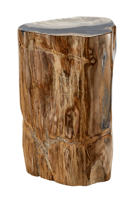 Hand-Polished Petrified Wood Side Table | Andrew Martin Log