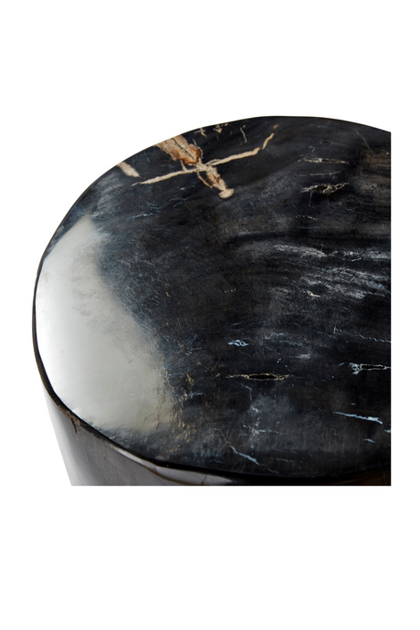 Hand-Polished Petrified Wood Side Table | Andrew Martin Log