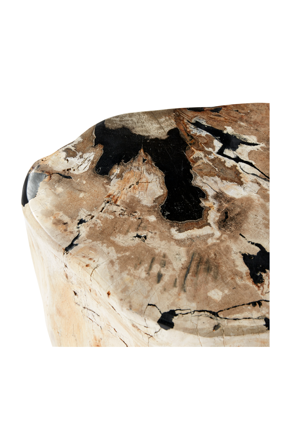 Hand-Polished Petrified Wood Side Table | Andrew Martin Log