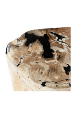 Hand-Polished Petrified Wood Side Table | Andrew Martin Log