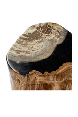 Hand-Polished Petrified Wood Side Table | Andrew Martin Log