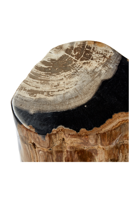 Hand-Polished Petrified Wood Side Table | Andrew Martin Log