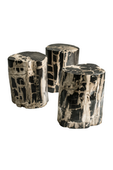Hand-Polished Petrified Wood Side Table | Andrew Martin Log