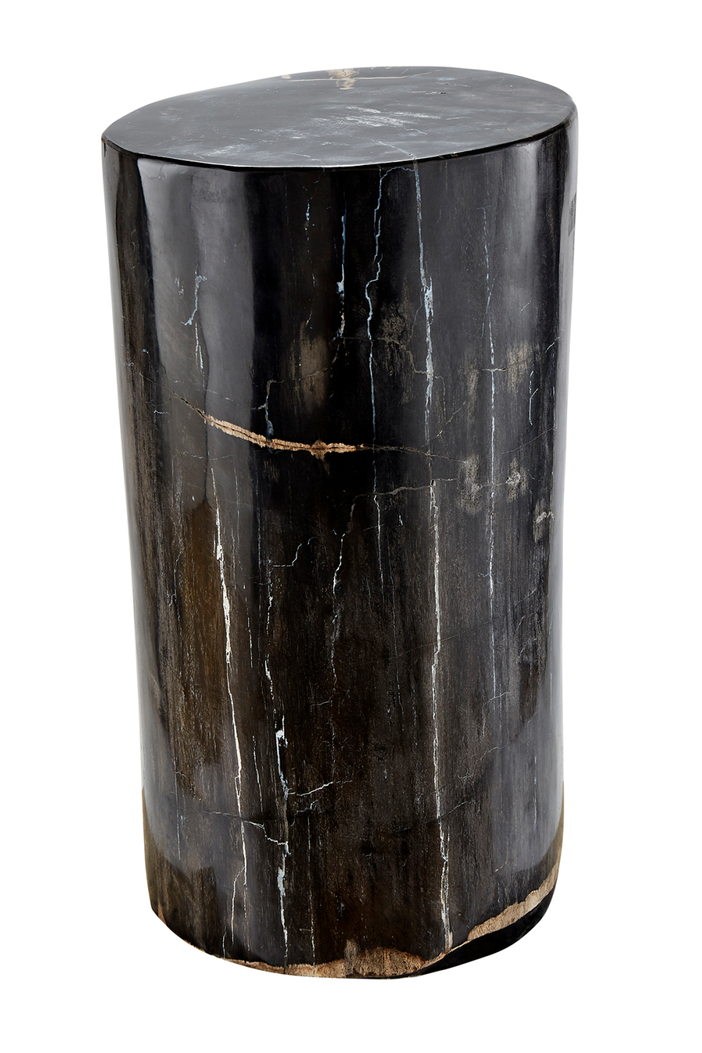 Hand-Polished Petrified Wood Side Table | Andrew Martin Log