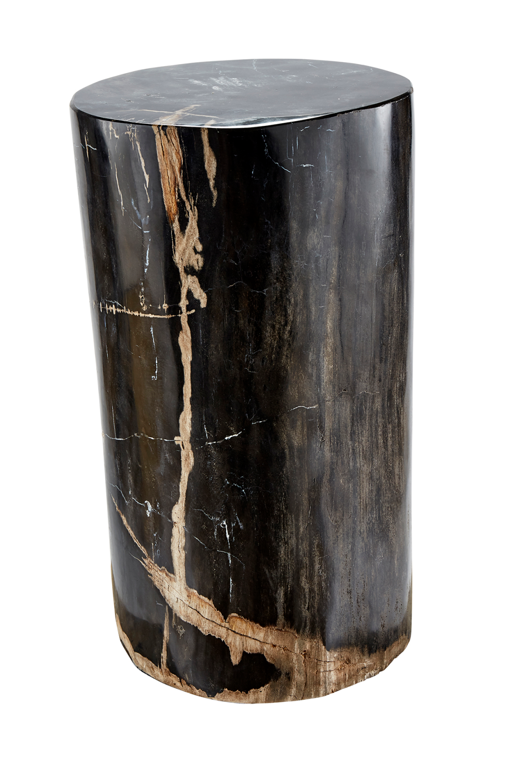 Hand-Polished Petrified Wood Side Table | Andrew Martin Log
