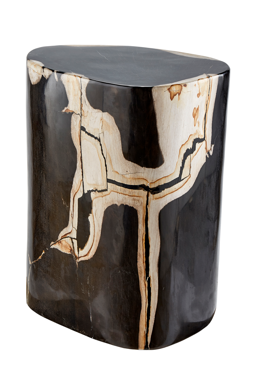 Hand-Polished Petrified Wood Side Table | Andrew Martin Log