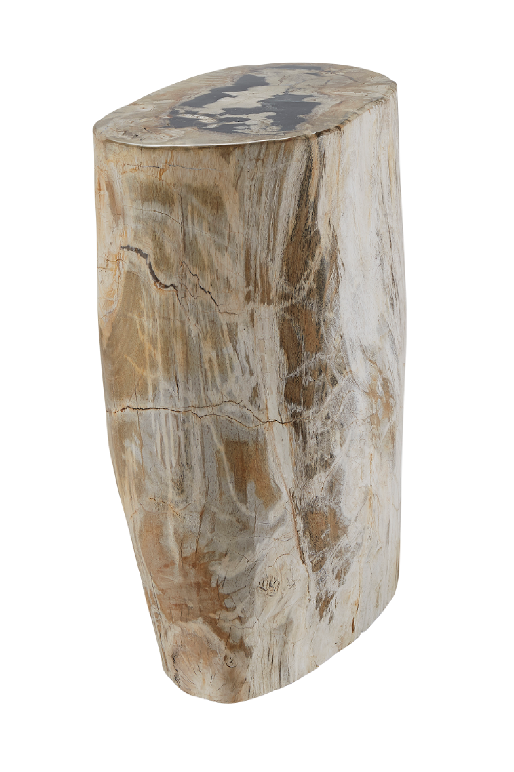Hand-Polished Petrified Wood Side Table | Andrew Martin Log