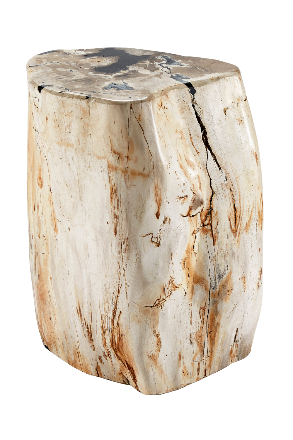 Hand-Polished Petrified Wood Side Table | Andrew Martin Log