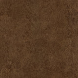 Modern European furniture - Modern Brown Leather Dining Chair (2) - www.oroa.com