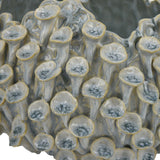 Nina Light Blue Textured Coral Gray Ceramic Bowl | OROA