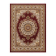 Modern European furniture - Red Medallion Area Rug - www.oroa.com