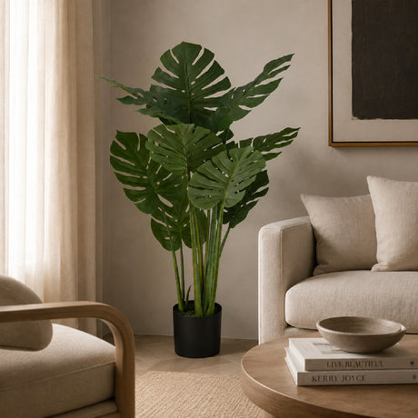 45" Tall Monstera Tree | OROA