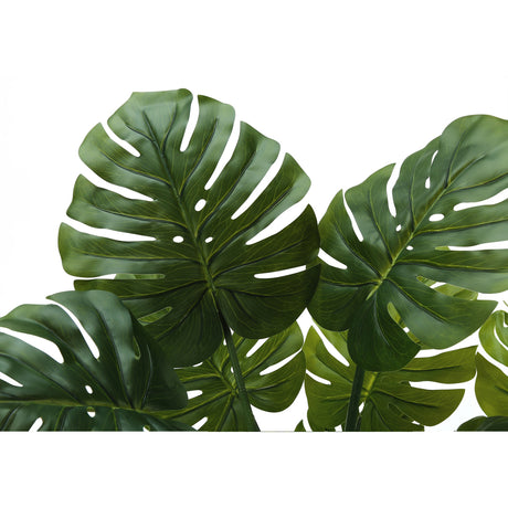 45" Tall Monstera Tree | OROA