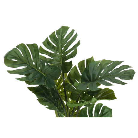 45" Tall Monstera Tree | OROA