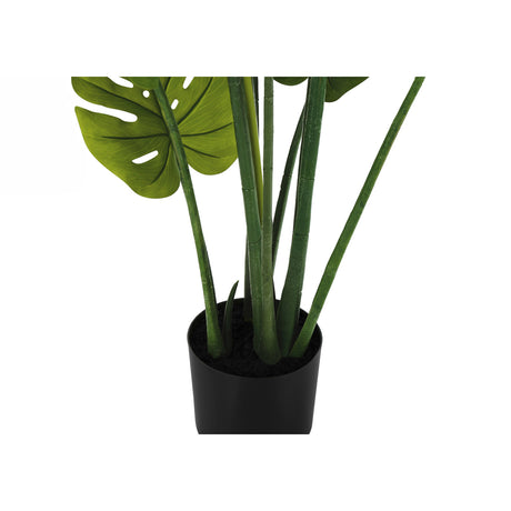 45" Tall Monstera Tree | OROA