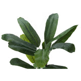 55' Tall Artificial Banana Tree Plant | OROA
