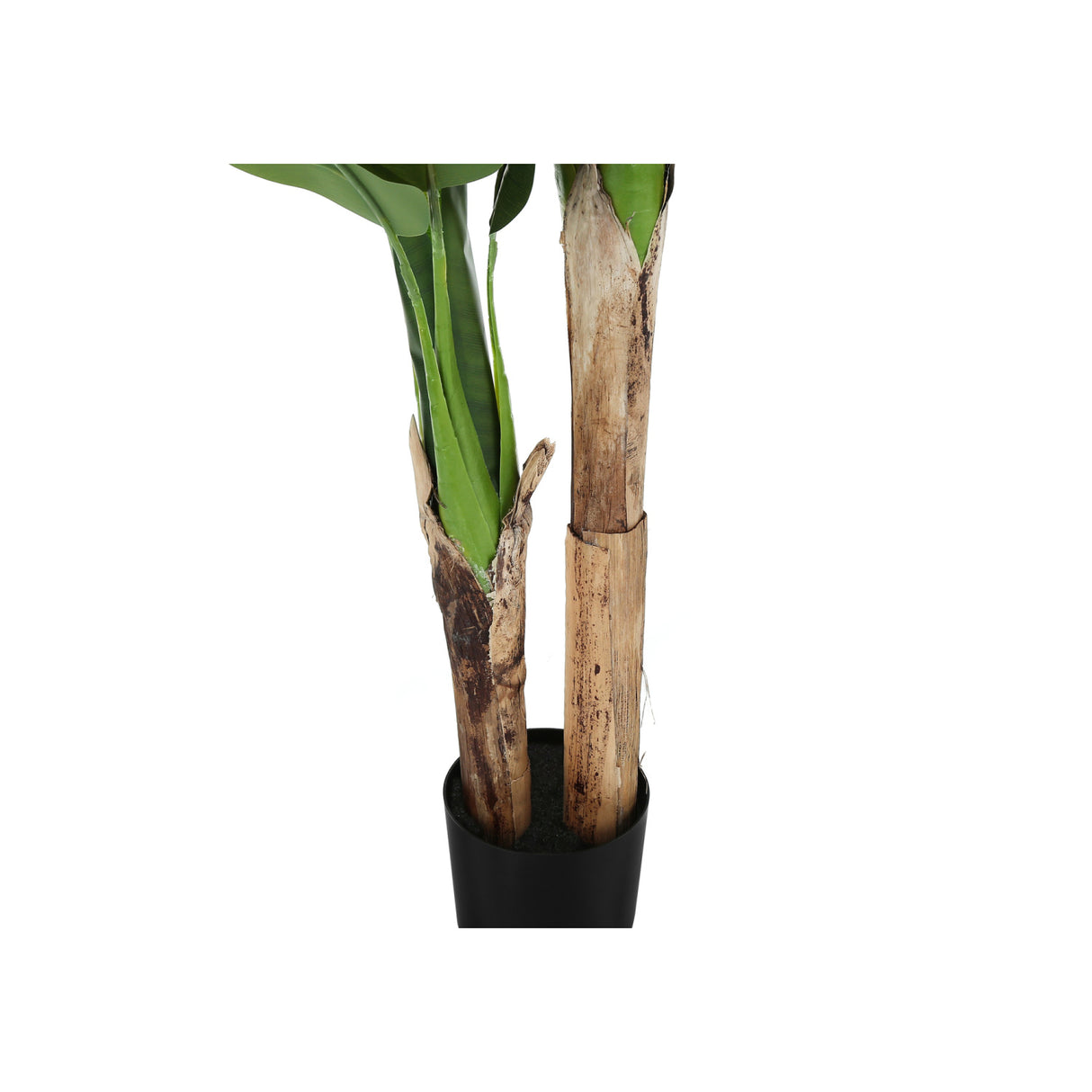 55' Tall Artificial Banana Tree Plant | OROA