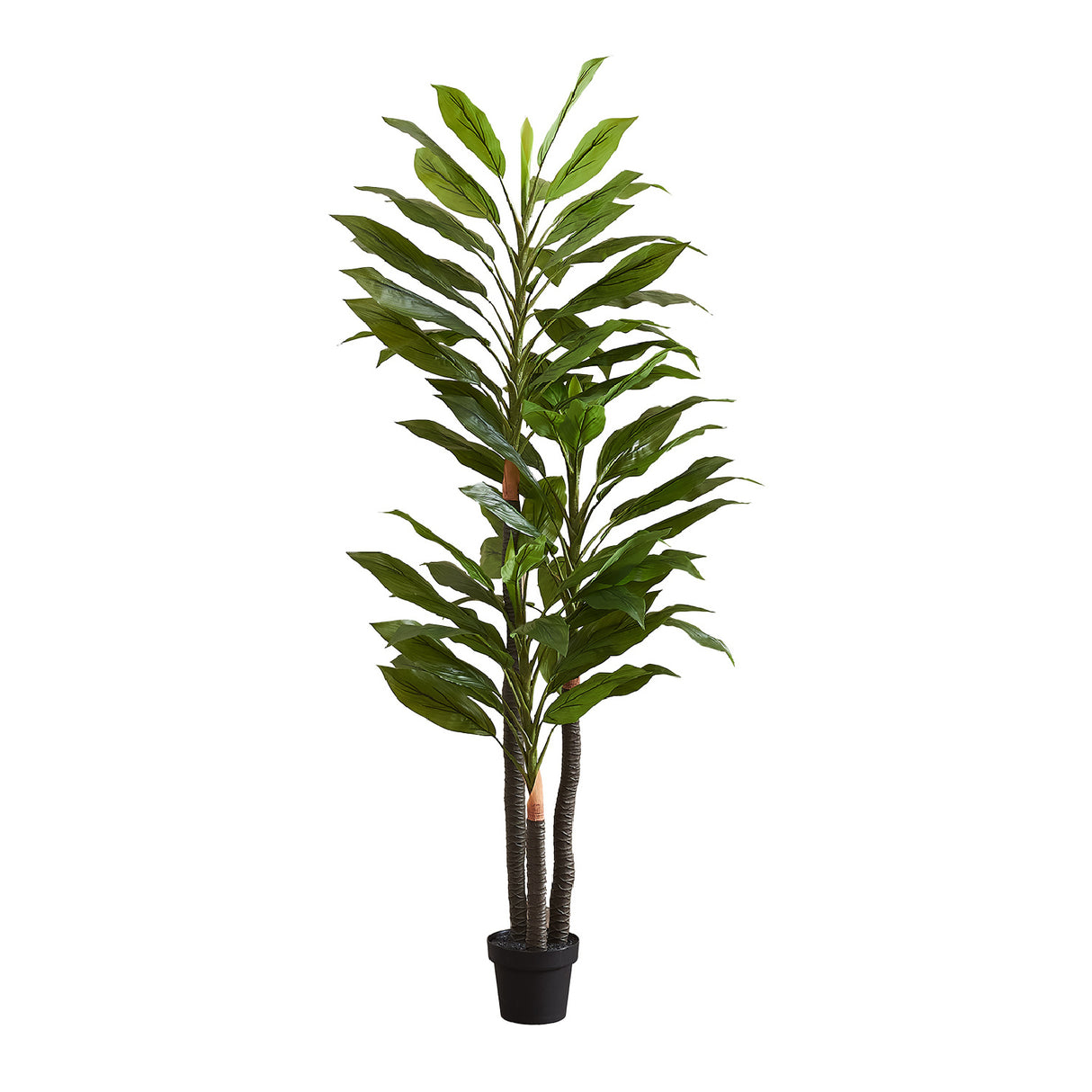 83" Tall Artificial Dracaena Tree | OROA