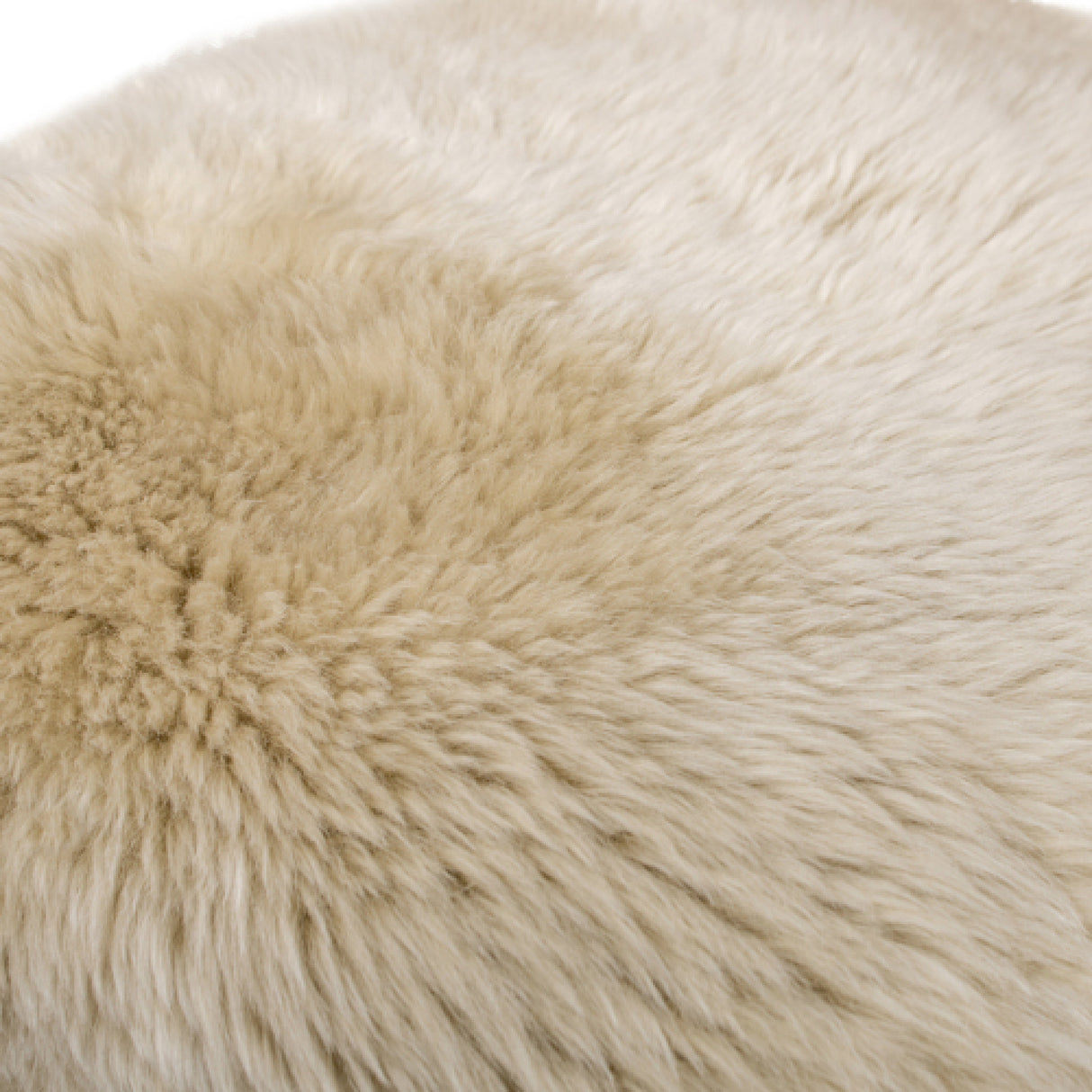 Modern European furniture - Natural Sheepskin Dining Chair - www.oroa.com