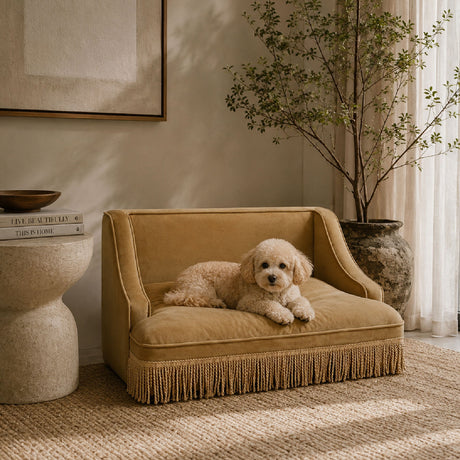 Medium Princess Pet Bed Sofa | OROA