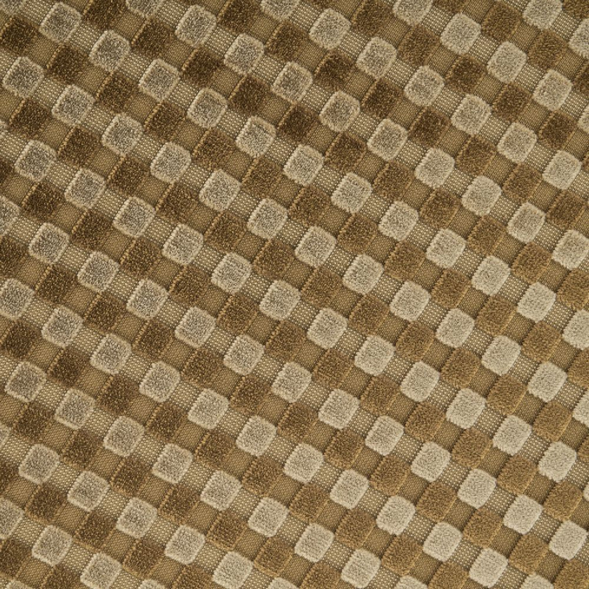 Natural Patterned Upholstered Dining Chair (2) | OROA