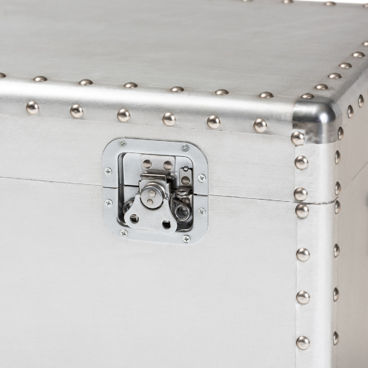 Modern European furniture - Silver Metal Storage Trunk - www.oroa.com