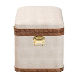 Modern European furniture - Beige Shagreen Look Storage Trunk - www.oroa.com