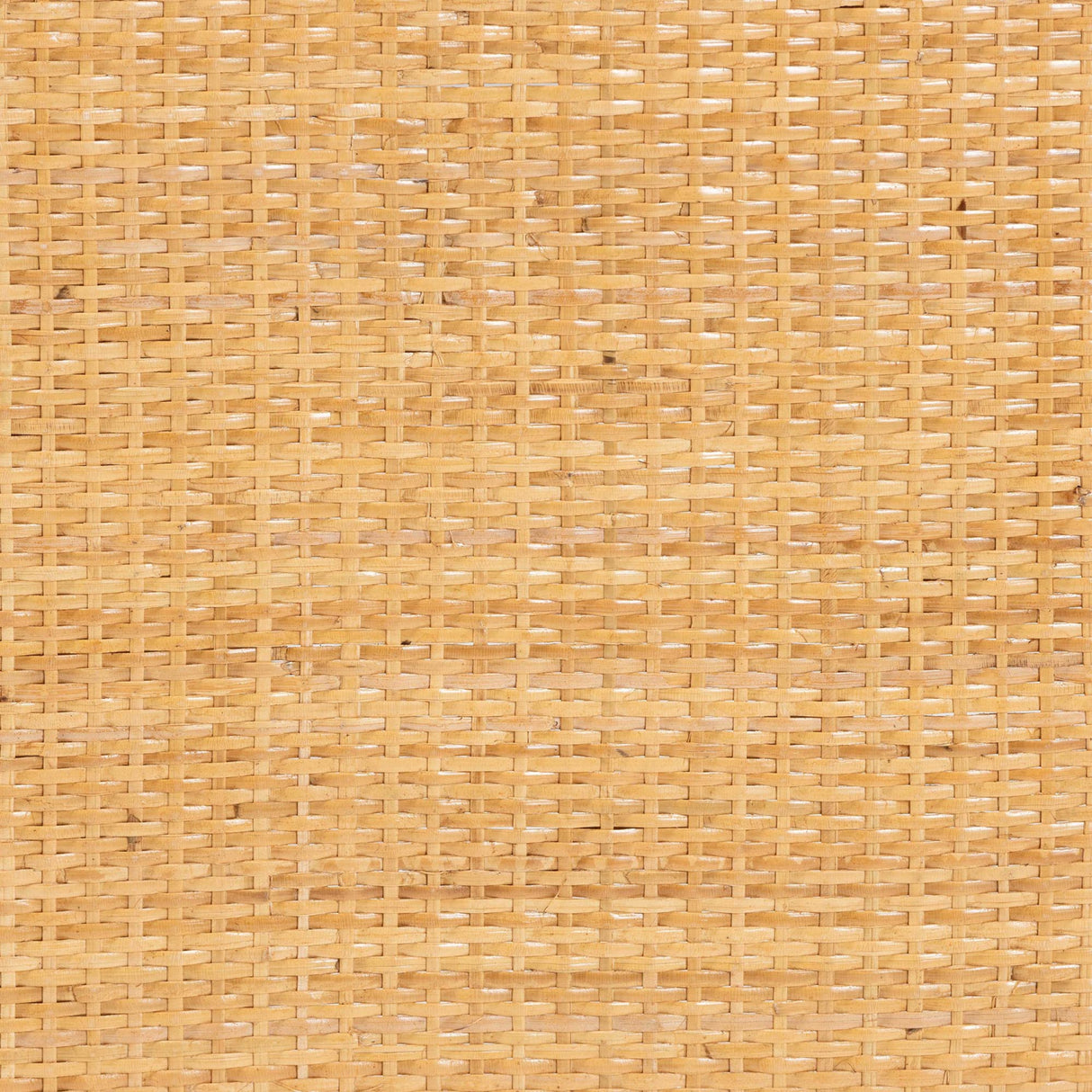 Modern European furniture - Rattan Tri-Fold Room Divider - www.oroa.com