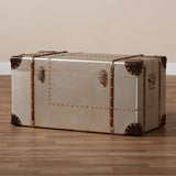 Modern European furniture - Silver Vintage Storage Trunk - www.oroa.com