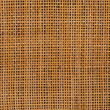 Modern European furniture - Arched Rattan 2-Door Cabinet - www.oroa.com