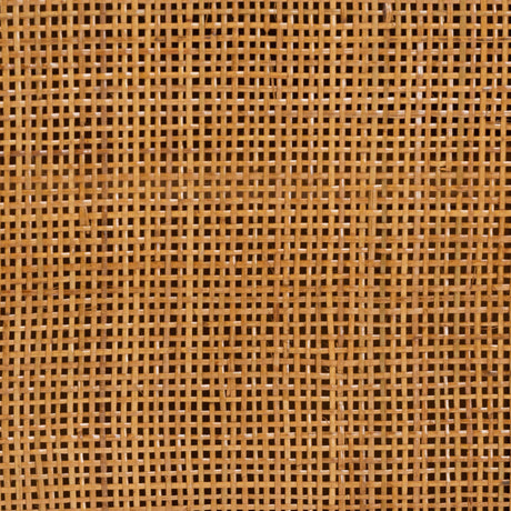 Modern European furniture - Arched Rattan 2-Door Cabinet - www.oroa.com