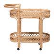 Modern European furniture - Natural Rattan Indoor/Outdoor Kitchen Cart - www.oroa.com