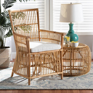 Modern European furniture - Padded Seat Rattan Accent Chair - www.oroa.com