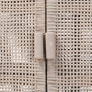   Modern European furniture - Gray Rattan 2-Door Cabinet - www.oroa.com | Oroa.com