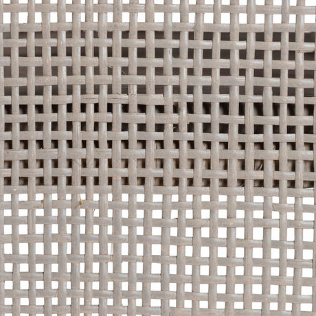 Modern European furniture - Gray Rattan 2-Door Cabinet - www.oroa.com