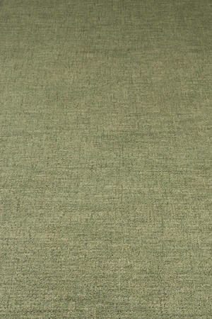 Green Wool Carpet 5' x 7'5" | Bold Monkey Sugar Lines | Oroa.com