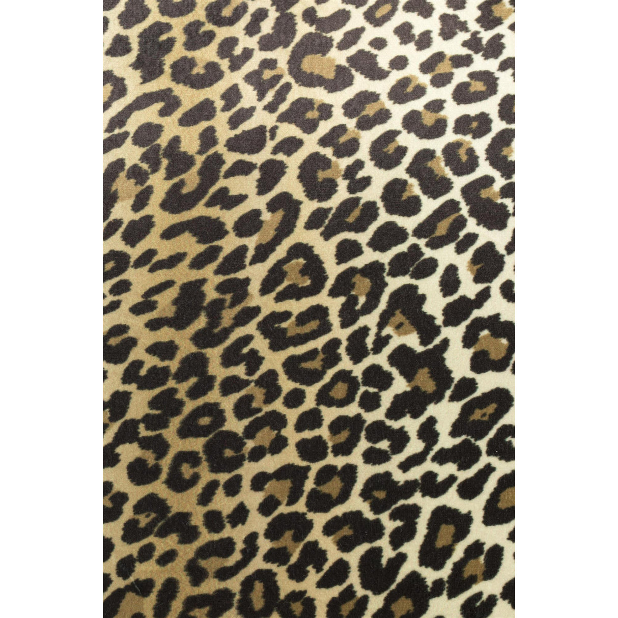   Modern European furniture - Animal Print Accent Chairs (2) - www.oroa.com | Oroa.com
