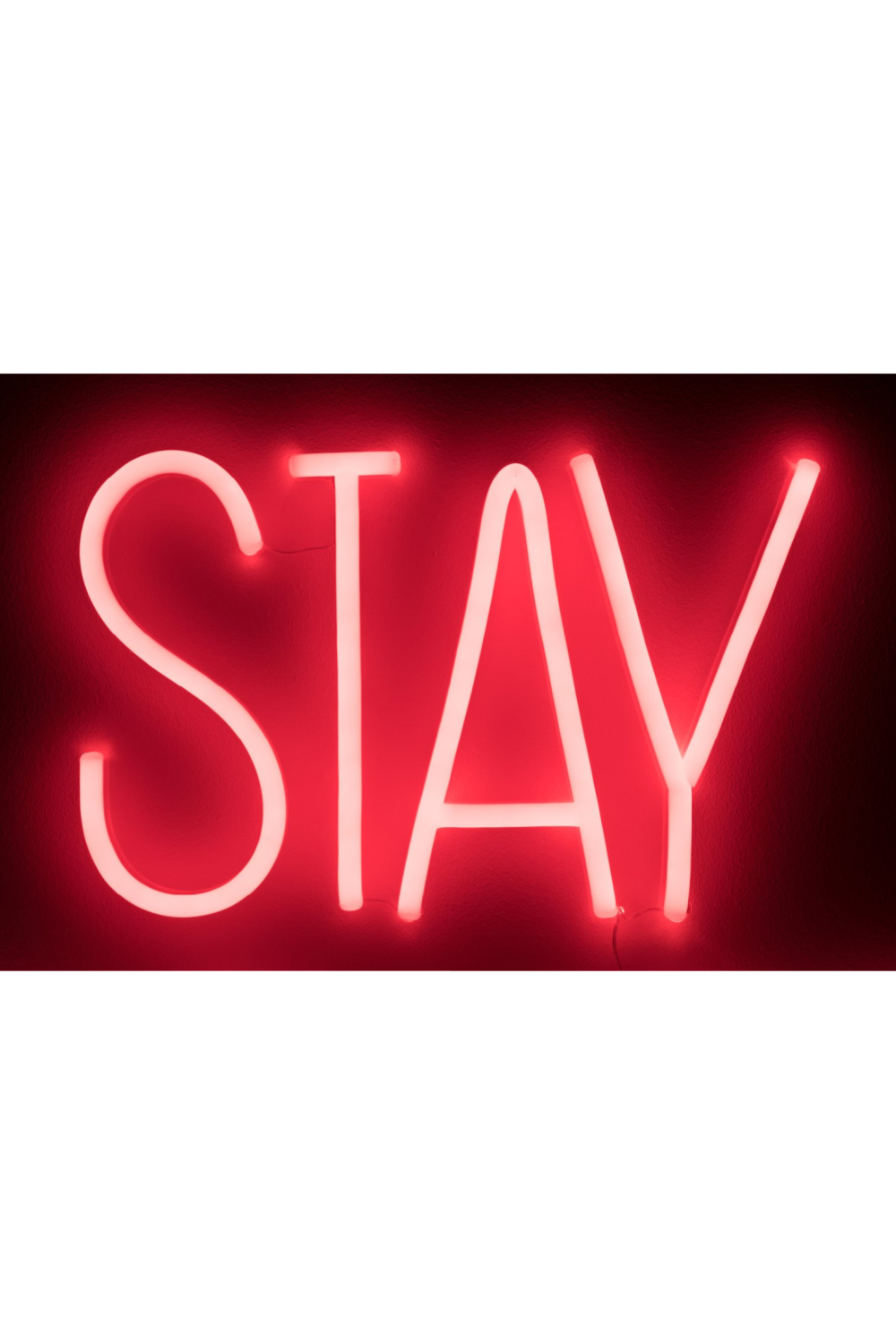 LED red neon sign | Bold Monkey Badass Non Social | OROA.com