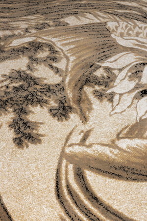 Coastal Modern Carpet 5' x 7'5" | Bold Monkey The Legend Of Koi | OROA.com