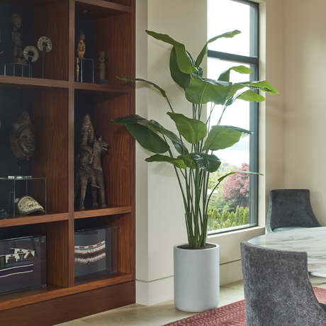 Everlasting Bird of Paradise Tree with Modern Gray Planter - OROA