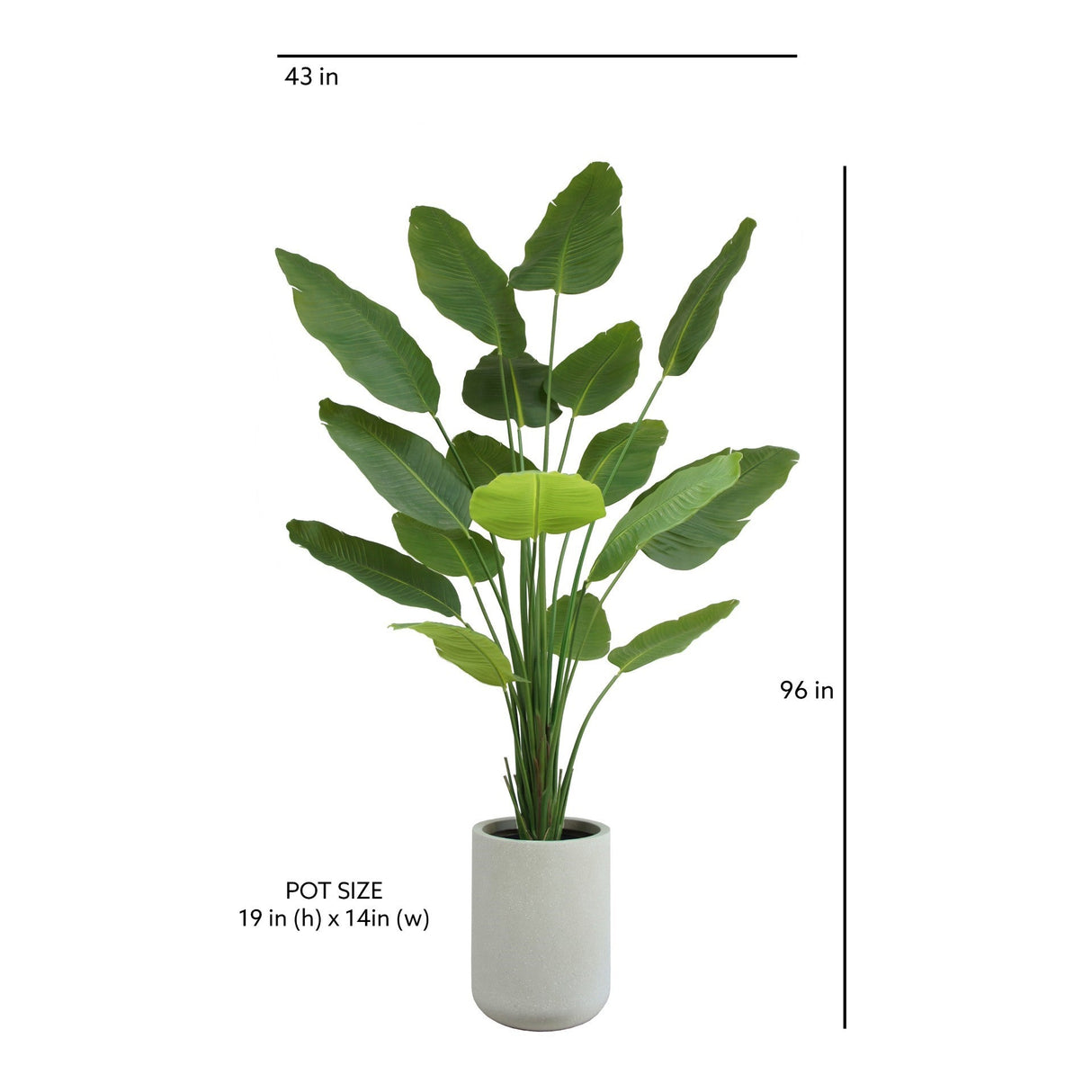 Everlasting Bird of Paradise Tree with Modern Gray Planter - OROA