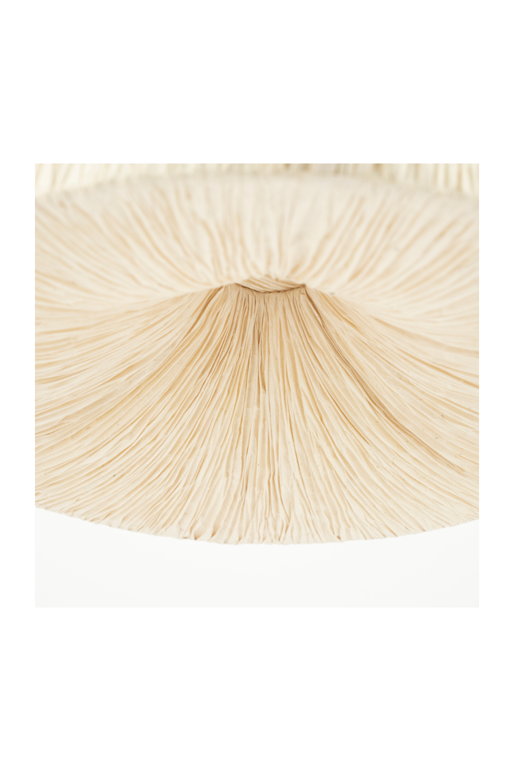 Handmade Paper Pendant Lamp | By-Boo Lokta | OROA.com