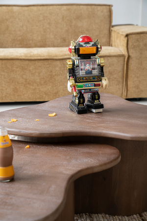 Mango Wood Organic Coffee Table | By-Boo Natural | OROA.com