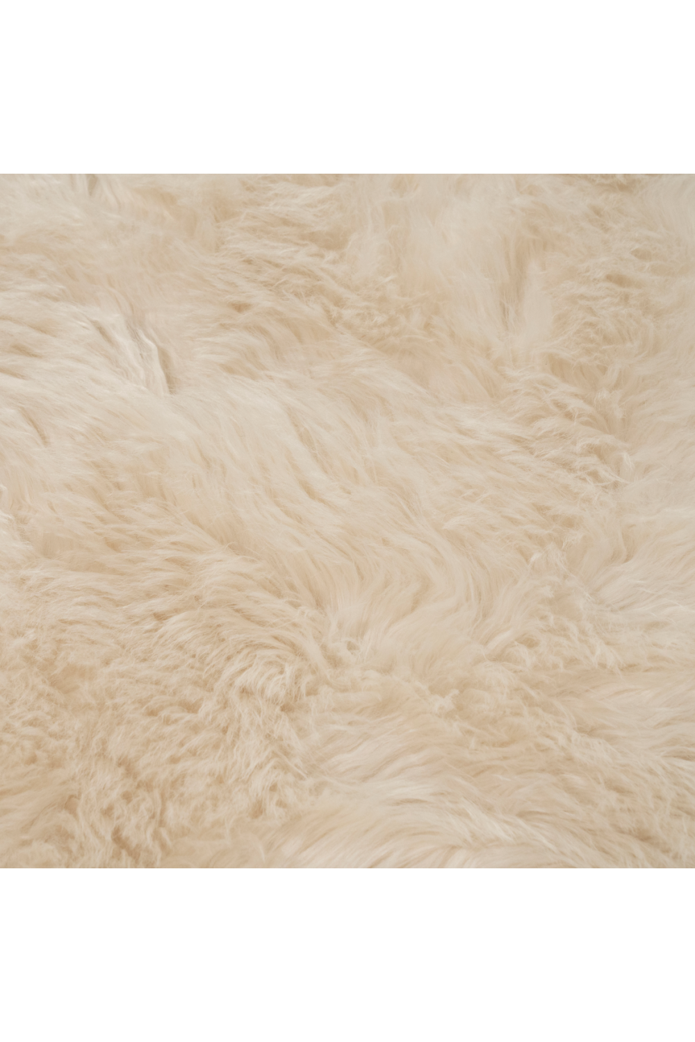 Furry Minimalist Carpet 6' x 9'5" | By-Boo Laska | Oroa.com