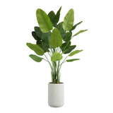 Everlasting Bird of Paradise Tree with Modern Gray Planter - OROA
