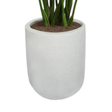 Everlasting Bird of Paradise Tree with Modern Gray Planter - OROA
