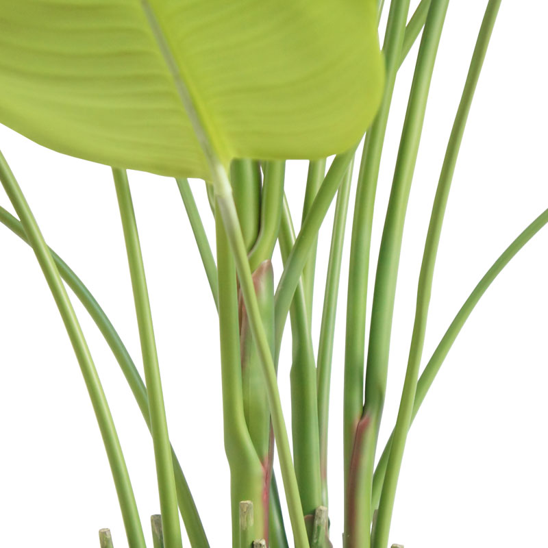 Everlasting Bird of Paradise Tree with Modern Gray Planter - OROA