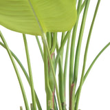 Everlasting Bird of Paradise Tree with Modern Gray Planter - OROA